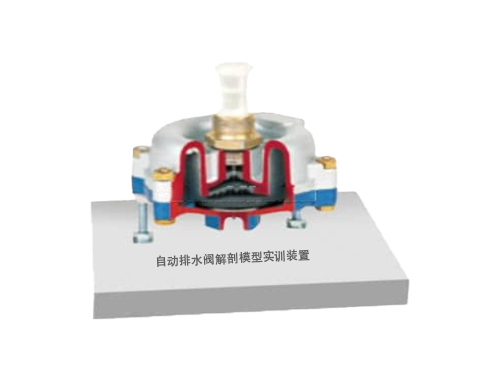 自動(dòng)排水閥解剖模型實(shí)訓(xùn)裝置